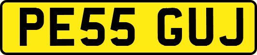 PE55GUJ