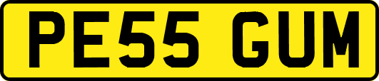 PE55GUM