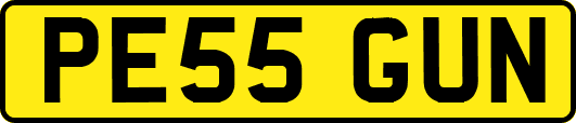 PE55GUN