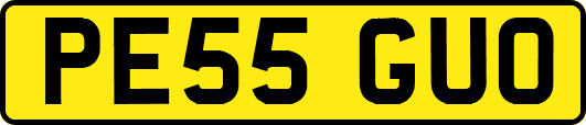 PE55GUO