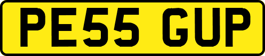 PE55GUP