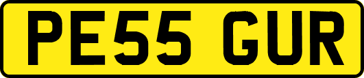 PE55GUR