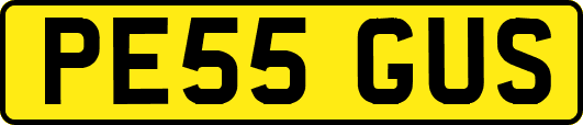 PE55GUS