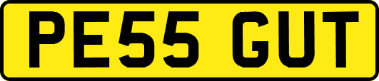 PE55GUT