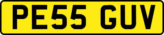 PE55GUV