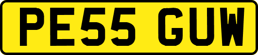 PE55GUW