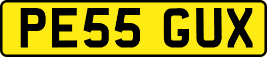 PE55GUX