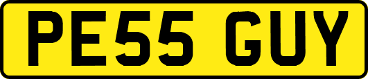 PE55GUY