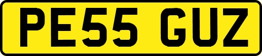 PE55GUZ
