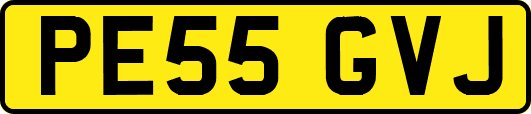 PE55GVJ