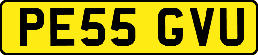 PE55GVU