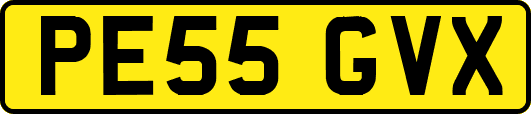 PE55GVX