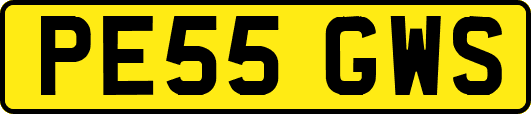 PE55GWS