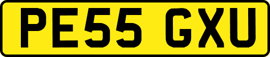 PE55GXU