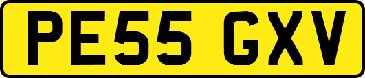 PE55GXV