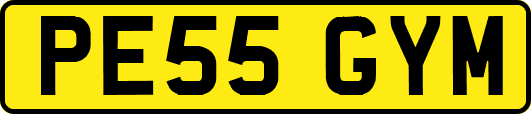 PE55GYM