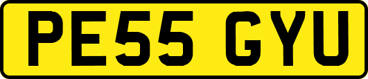 PE55GYU