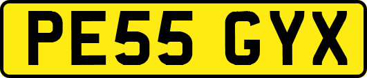 PE55GYX