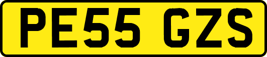 PE55GZS