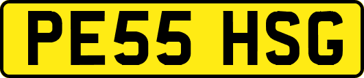 PE55HSG