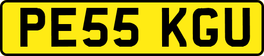 PE55KGU