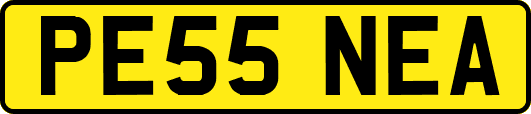 PE55NEA