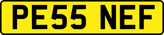 PE55NEF