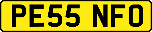 PE55NFO