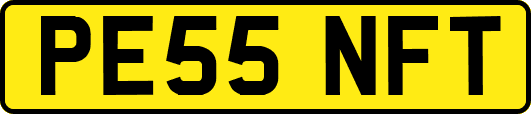 PE55NFT