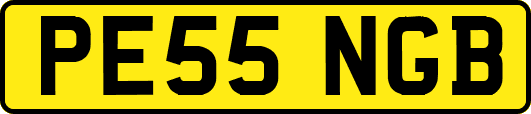 PE55NGB