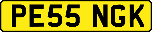 PE55NGK