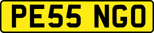 PE55NGO