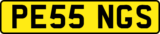 PE55NGS