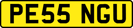PE55NGU