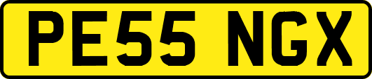 PE55NGX