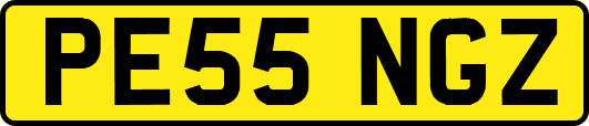 PE55NGZ
