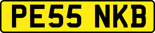 PE55NKB