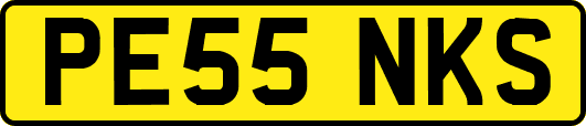 PE55NKS
