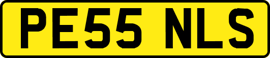 PE55NLS