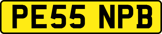 PE55NPB