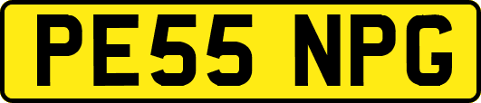 PE55NPG