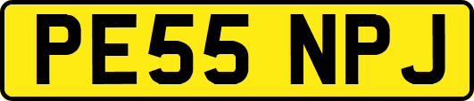 PE55NPJ