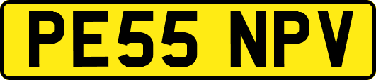 PE55NPV