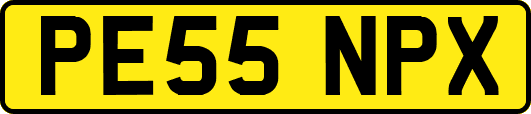 PE55NPX