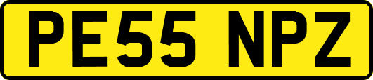 PE55NPZ