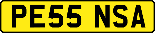 PE55NSA