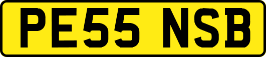 PE55NSB