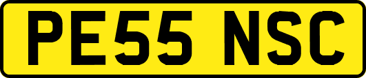 PE55NSC