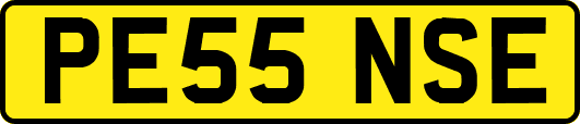 PE55NSE