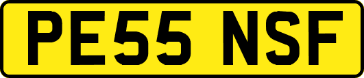 PE55NSF